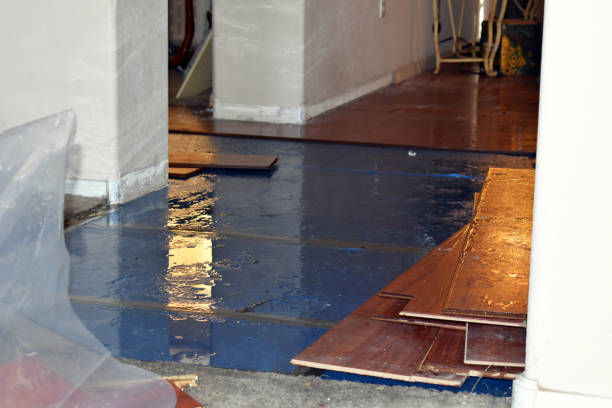 Professional Water Damage Restoration technician working in Luna Pier, MI